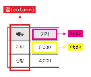 html table 열(column)